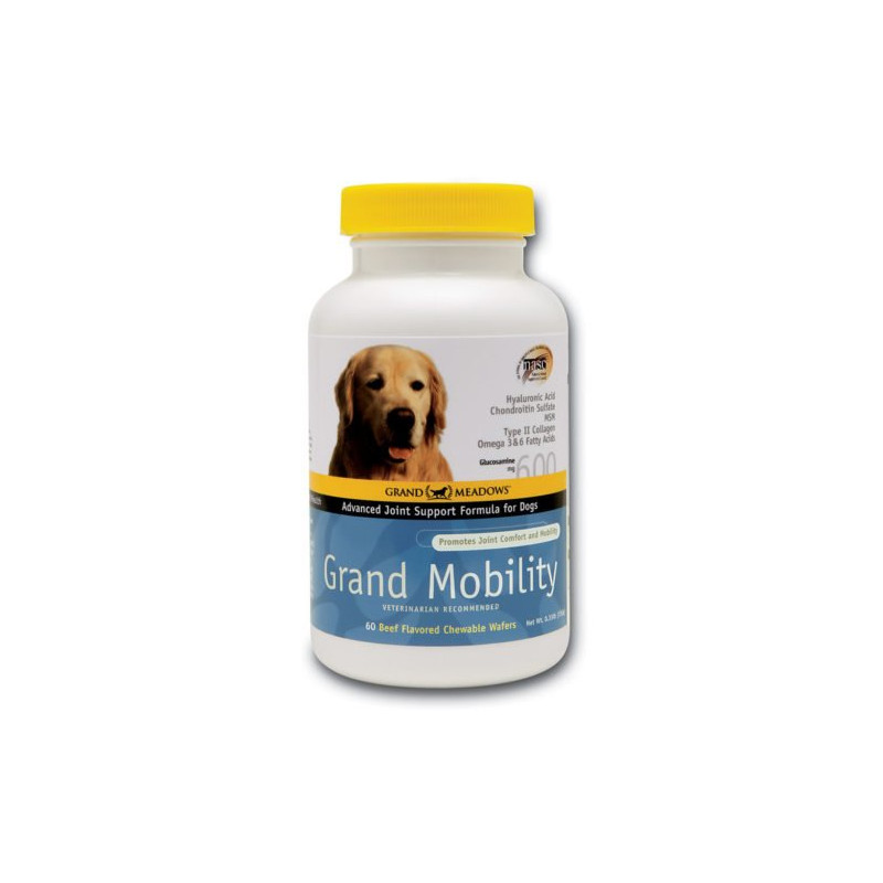 Grand Mobility