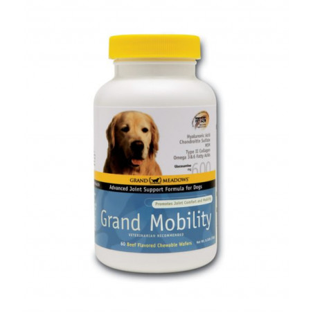 Grand Mobility