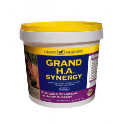 Grand H.A. Synergy
