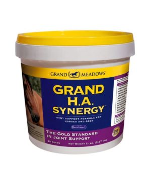 GM_GrandHASynergy_WEB-510x600 Grand H.A. Synergy: Apoyo articular avanzado para perros y caballos