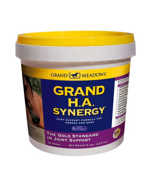 GM_GrandHASynergy_WEB-510x600 Grand H.A. Synergy: Apoyo articular avanzado para perros y caballos